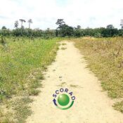 WhatsApp Image 2025-03-04 à 16.57.01_1025062d