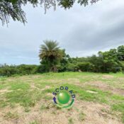 WhatsApp Image 2025-03-04 à 16.57.01_61bb9e7a