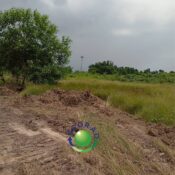 WhatsApp Image 2025-03-04 à 17.09.11_0c31a57d