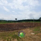 WhatsApp Image 2025-03-04 à 17.31.00_d217bb32